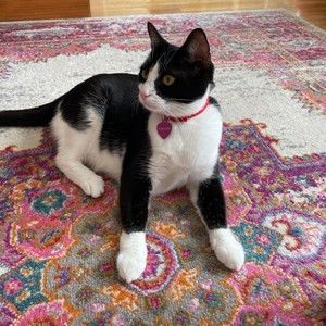 Meet your Posher, Jenny